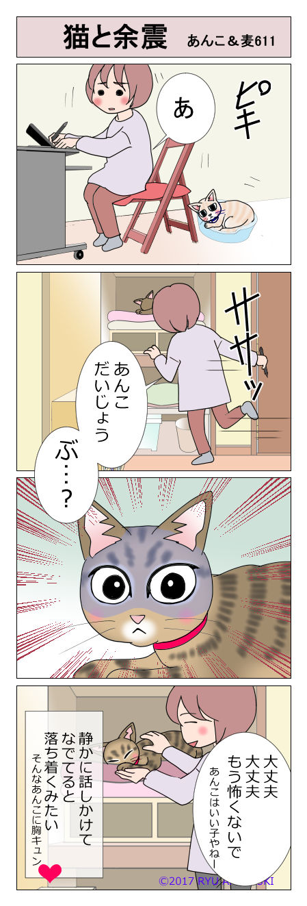 あんこ&麦STORY611