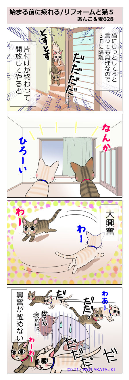 あんこ&麦STORY628