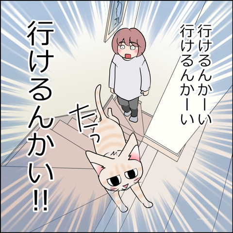 mugitabi015d
