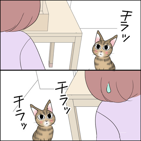 あんこ＆麦STORY2107c