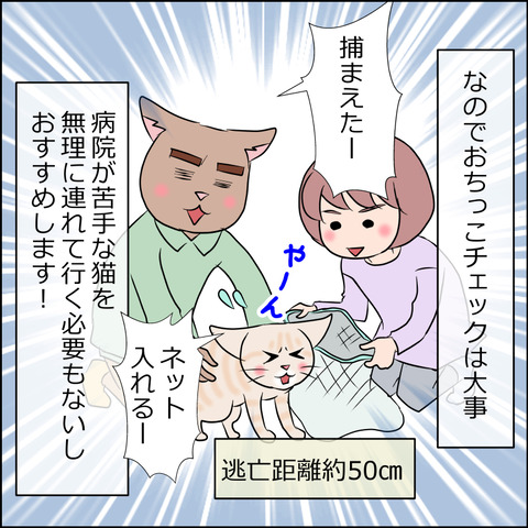 あんこ＆麦kenko78d