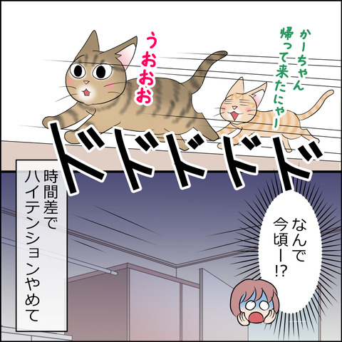 あんこ＆麦STORY2351f