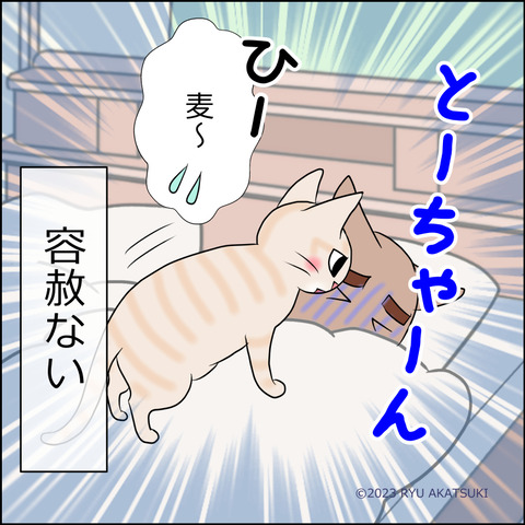 あんこ＆麦STORY1884d