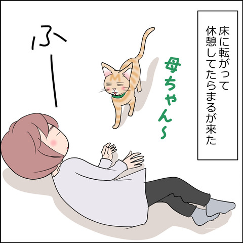 あんこ＆麦STORY2231a