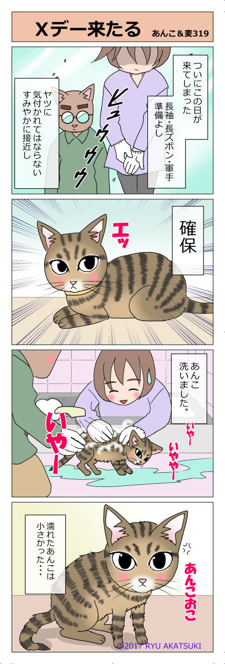 あんこ＆麦STORY319