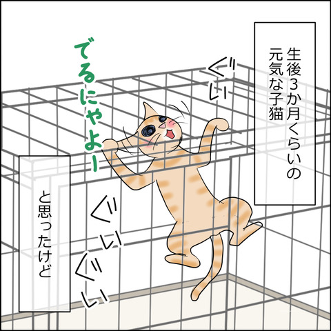 あんこ&麦STORY2496b