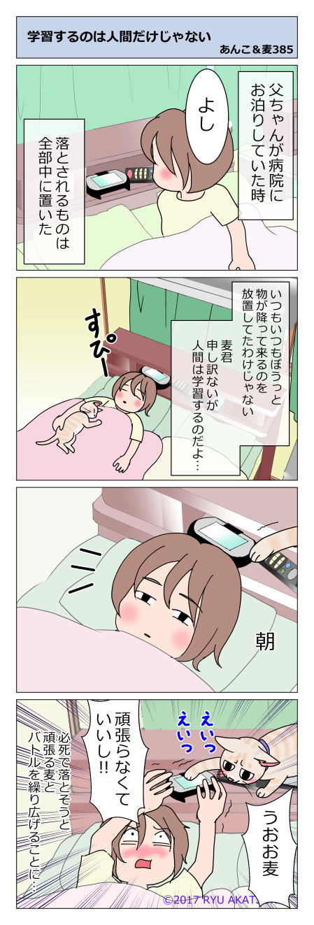 あんこ＆麦STORY385