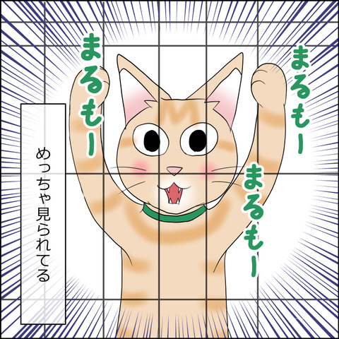 あんこ&麦STORY2294d