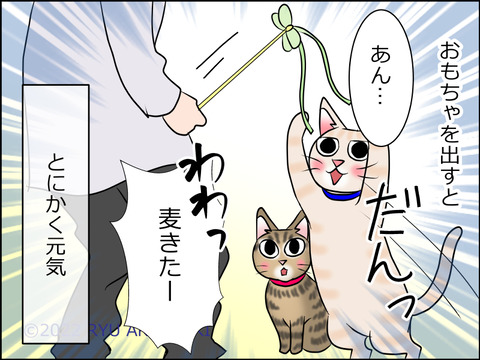 あんこ＆麦STORY1606d