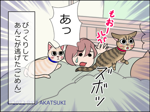 あんこ＆麦STORY1532d