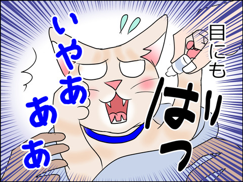 あんこ&麦STORY1525c