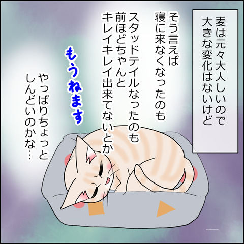 あんこ＆麦kenko135c