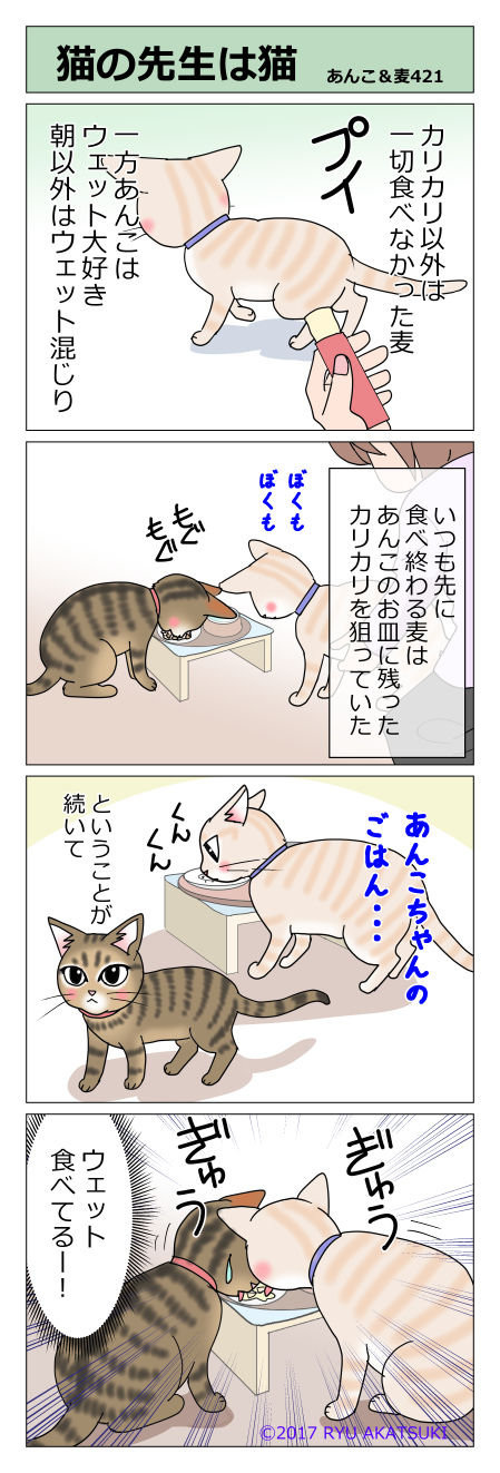 あんこ&麦STORY421