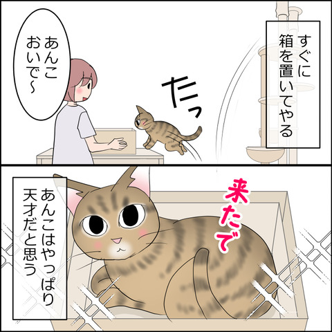 あんこ＆麦STORY2320d