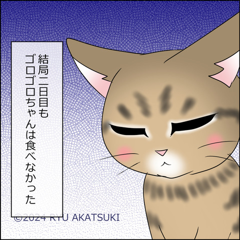 nekokita016d