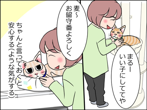 あんこ&麦STORY1600c
