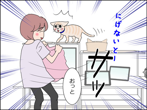 あんこ&麦STORY1437b