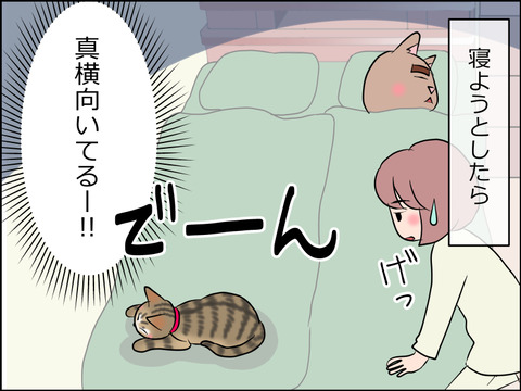 あんこ＆麦STORY1551a