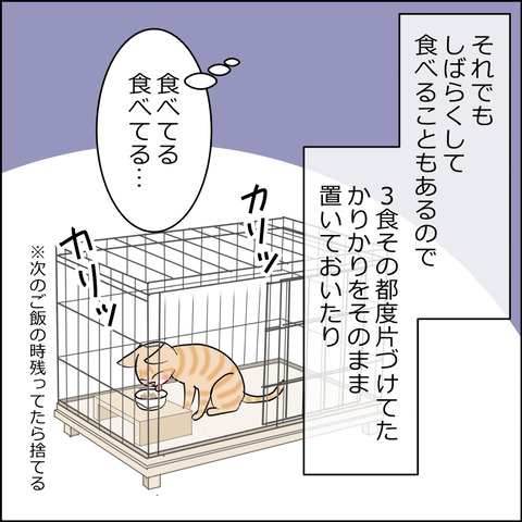 あんこ&麦kenko162c