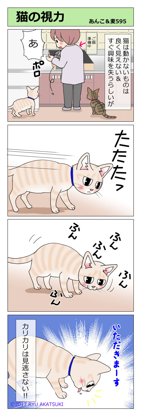 あんこ＆麦STORY595