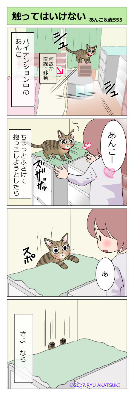 あんこ&麦STORY555