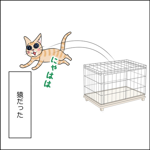 あんこ&麦STORY2496d
