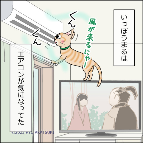 あんこ＆麦STORY1911d