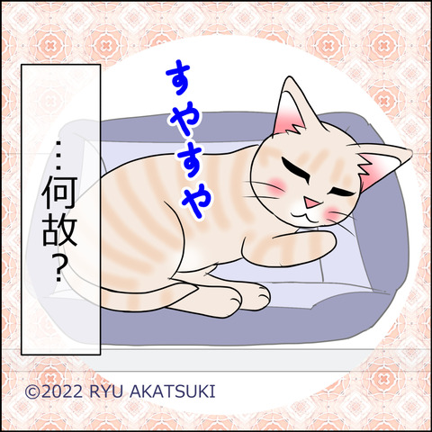 あんこ&麦STORY1689d