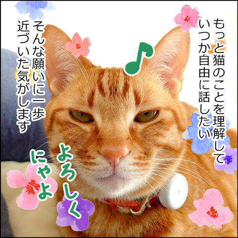 waneko001i