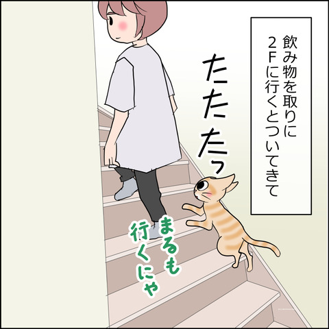 あんこ＆麦STORY2468b