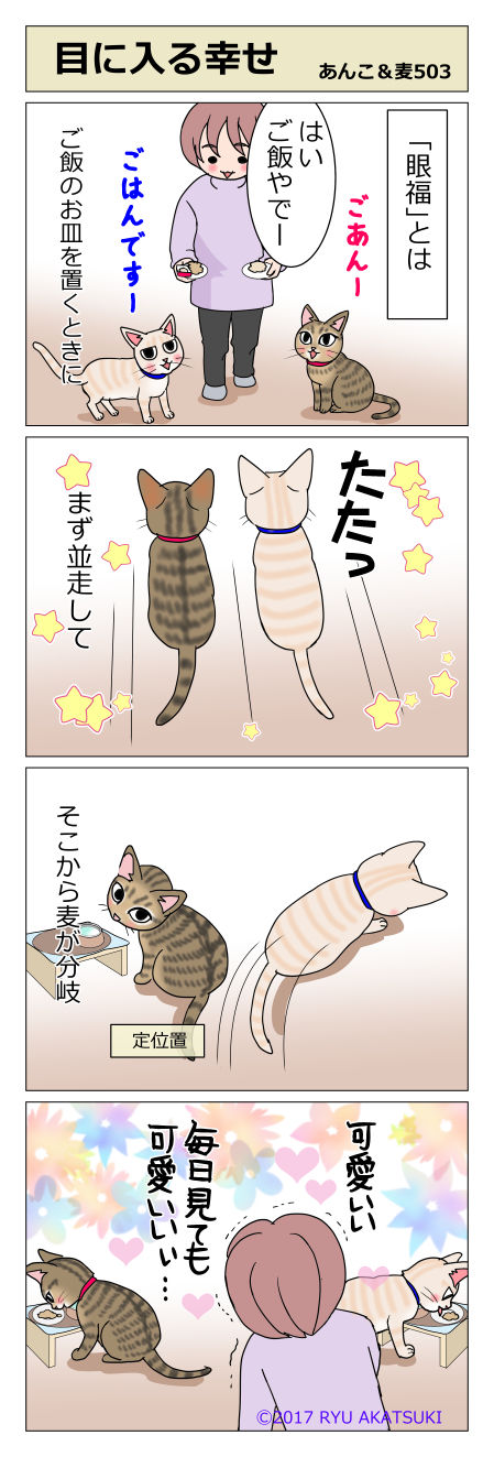 あんこ＆麦STORY503