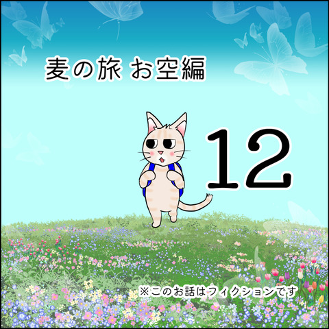 mugitabix012@
