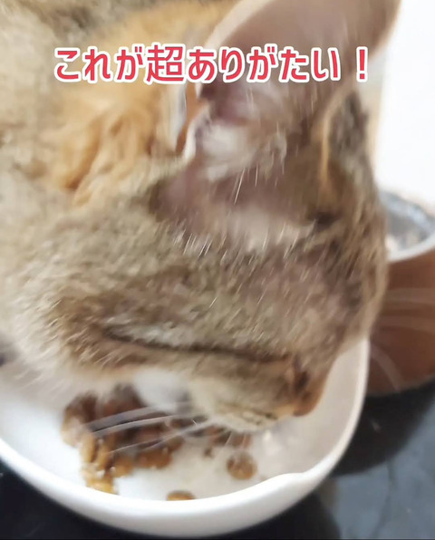 Screenshot_20251211-191408