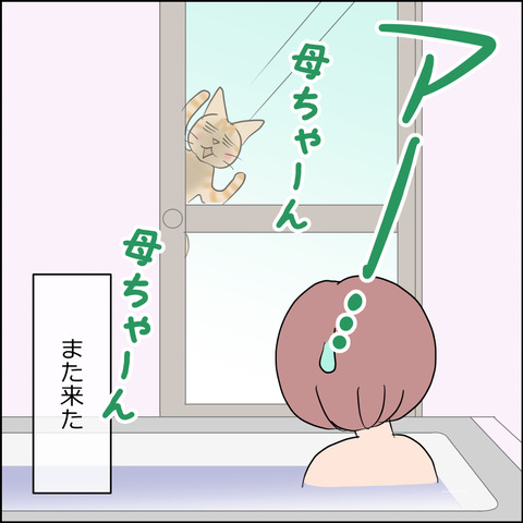 あんこ＆麦STORY2401f