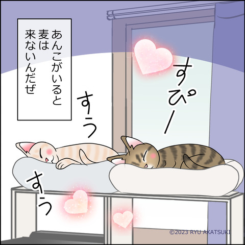 あんこ&麦STORY2019d