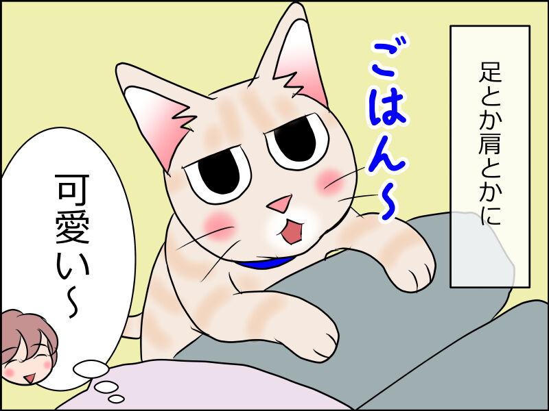 あんこ 麦1628 可愛い猫にはトゲがある あんこと麦と Powered By ライブドアブログ