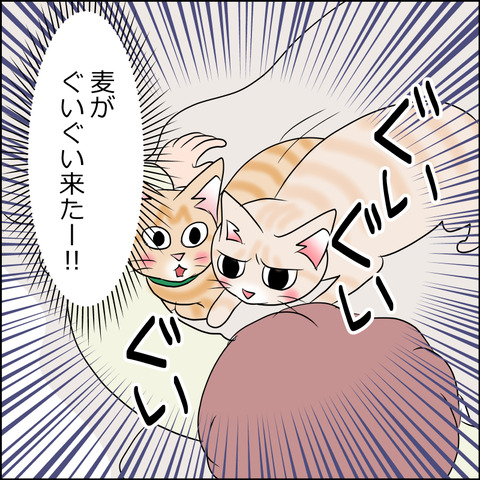 あんこ＆麦STORY1856c