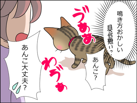 あんこ&麦STORY1488b
