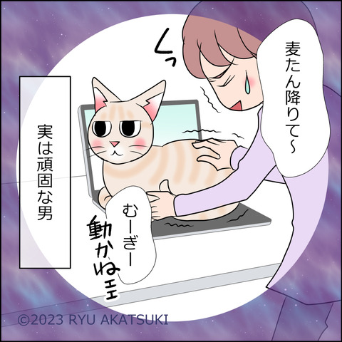 あんこ&麦STORY1840d