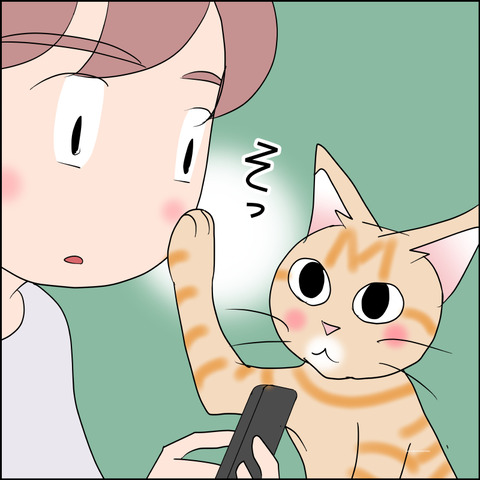 あんこ&麦STORY2372c