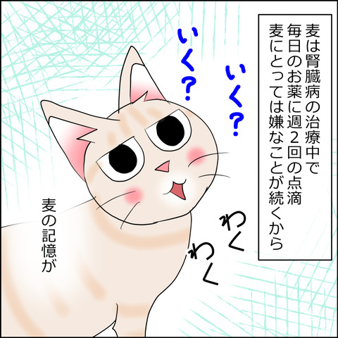 あんこ＆麦STORY2384c