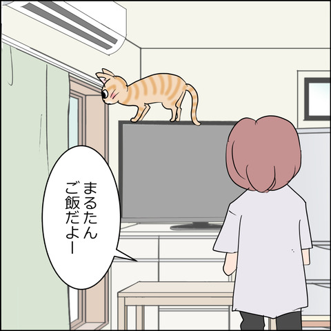 あんこ&麦STORY2485b