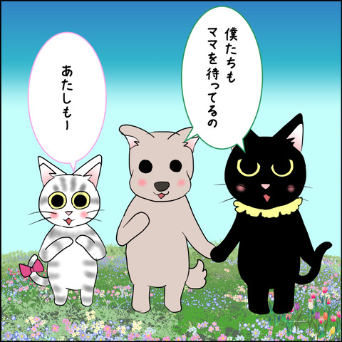 mugitabix037a