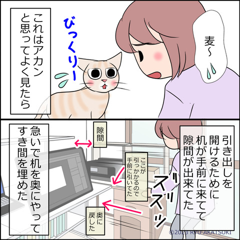 あんこ＆麦STORY2010d