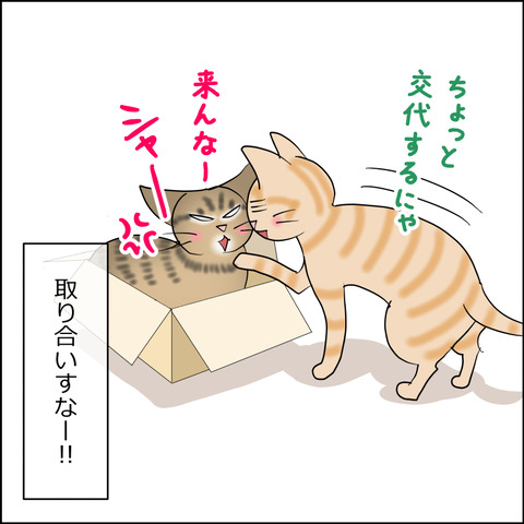 あんこ＆麦STORY2421d