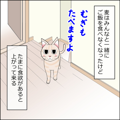 あんこ＆麦STORY2352a