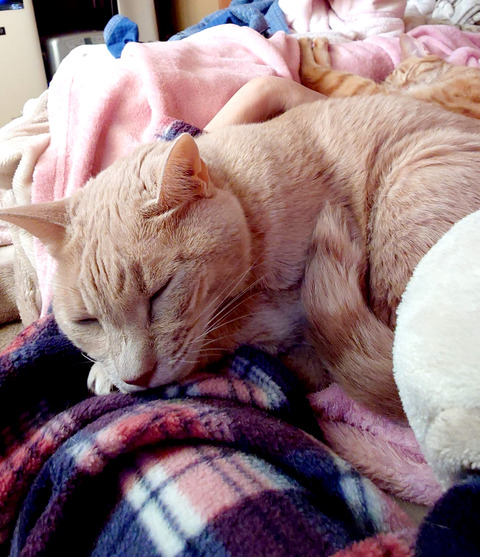 20251215_100619