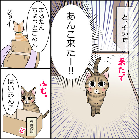 あんこ＆麦STORY1905b