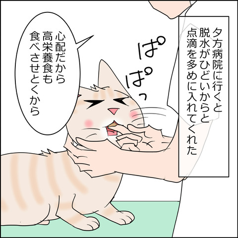 mugitabi021a