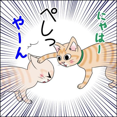 あんこ＆麦STORY2081b